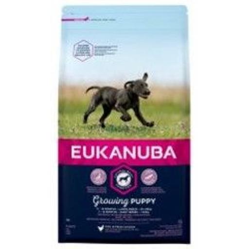 eukanuba growing