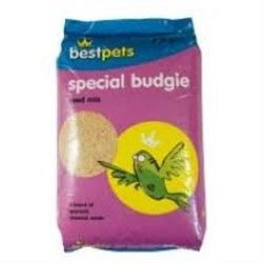Bestpets Special Budgie