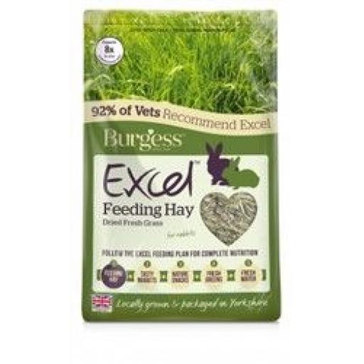 Burgess Excel Feeding Hay Dried Fresh Grass