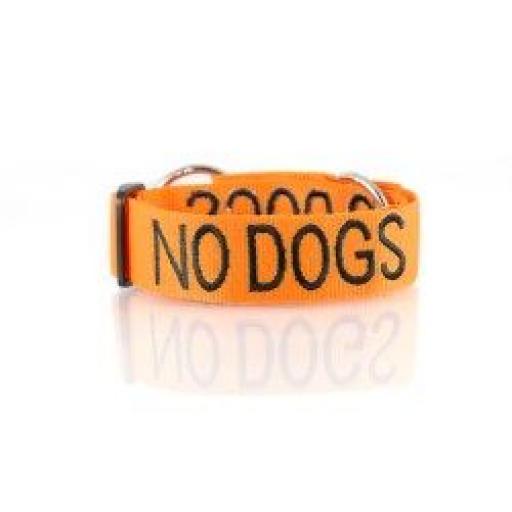 Friendly Dog Collars "No Dogs" Dog Collar