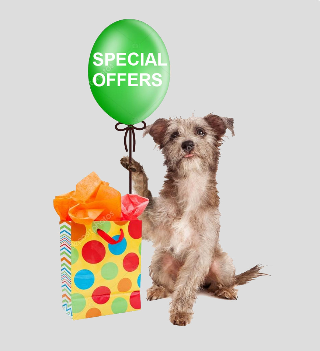 Pet Shop, Pet Supplies Glasgows No 1 Online Pet Store Wagtail Pet