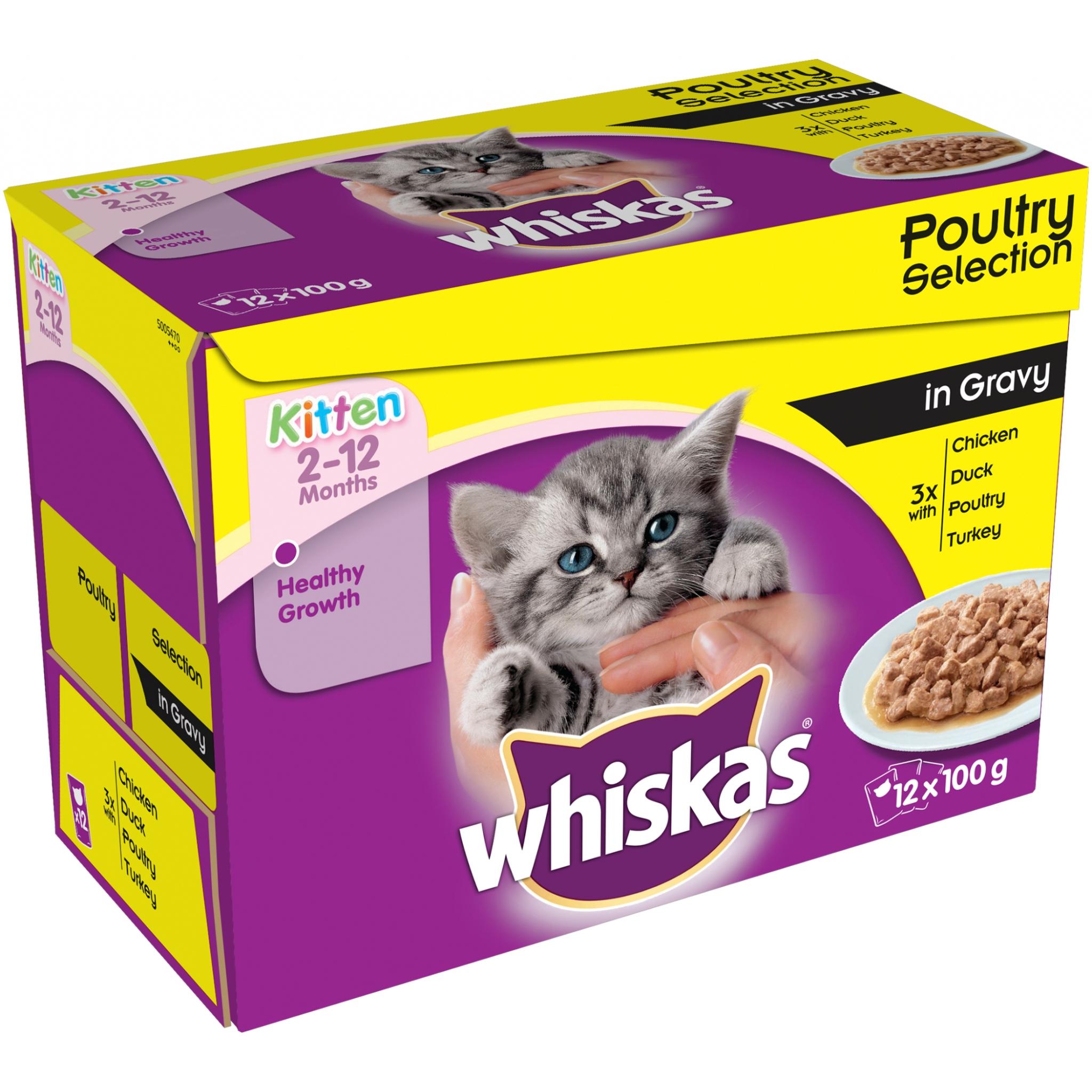 SAVE 25 WHISKAS Kitten Poultry in Gravy 12 x 100g Wagtail Pet Supplies