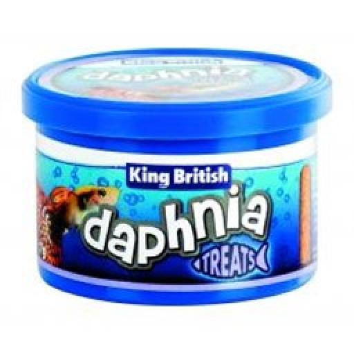 King British Daphnia Treats