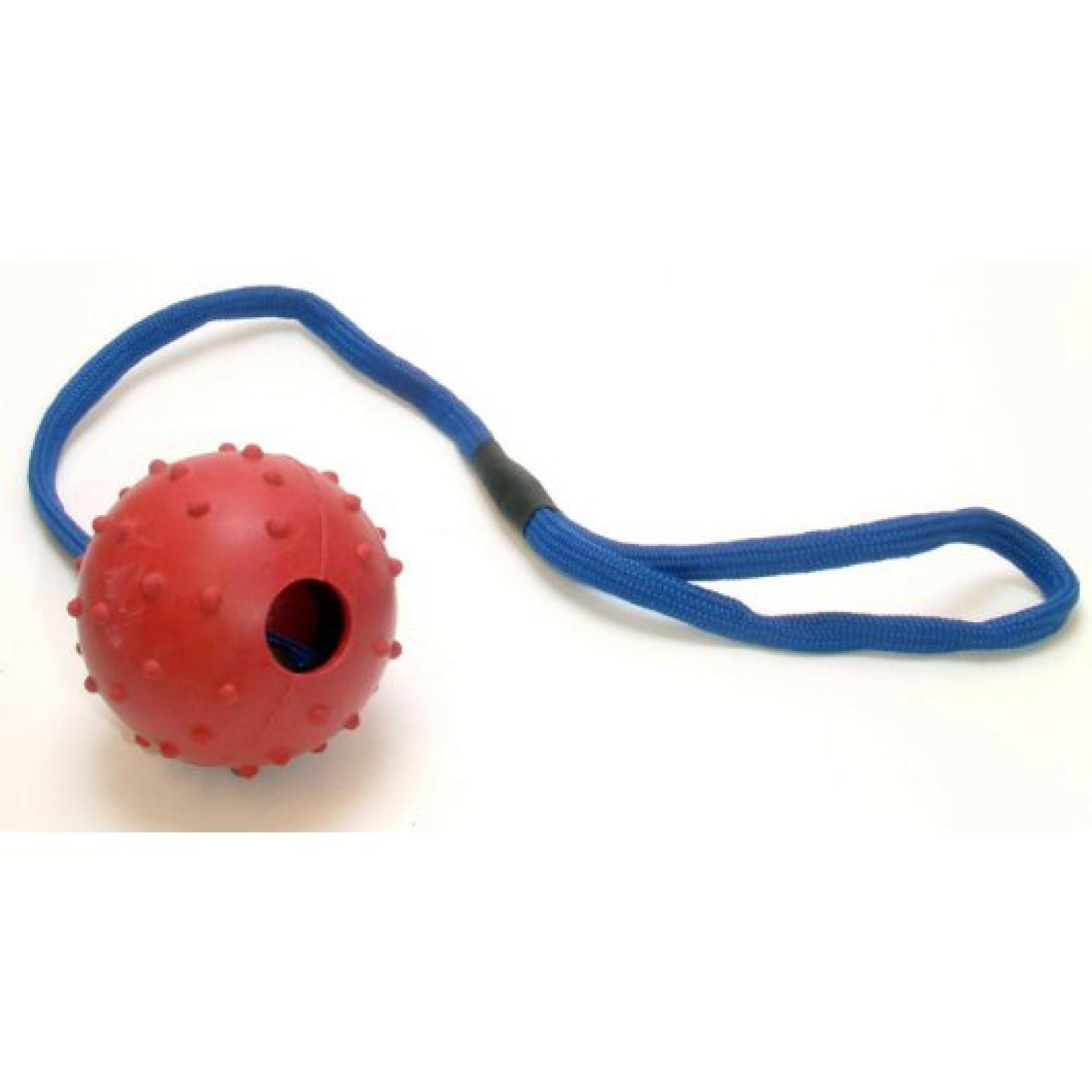 Good Boy Easy Throw Rubber Ball On Rope 3