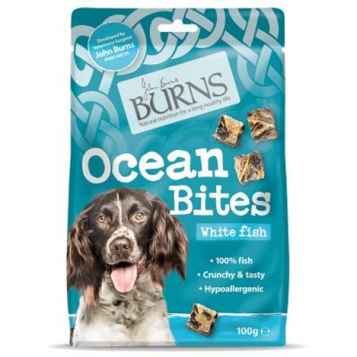 Burns Ocean Bites 100g