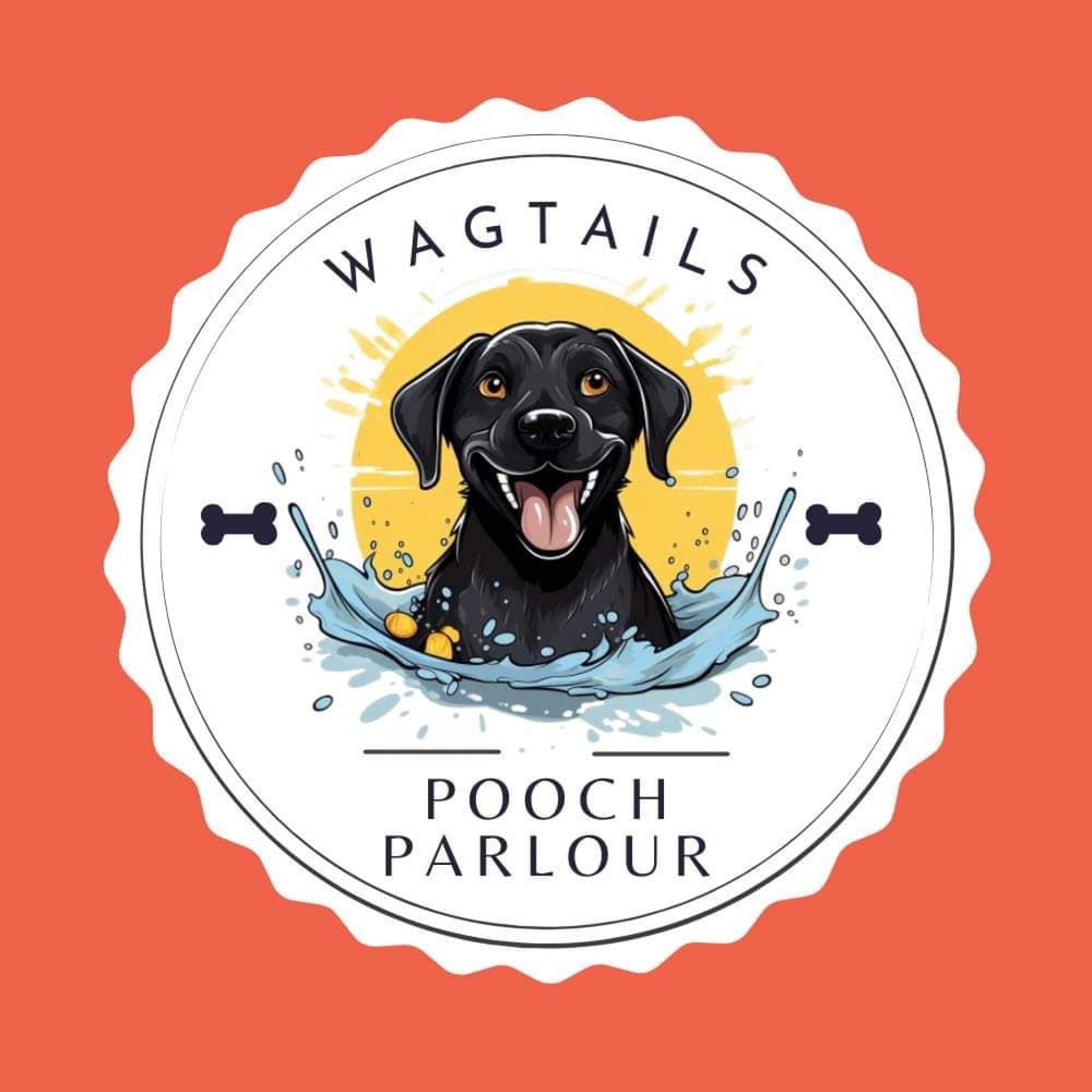 Pet Shop Pet Supplies Glasgows No 1 Online Pet Store Wagtail